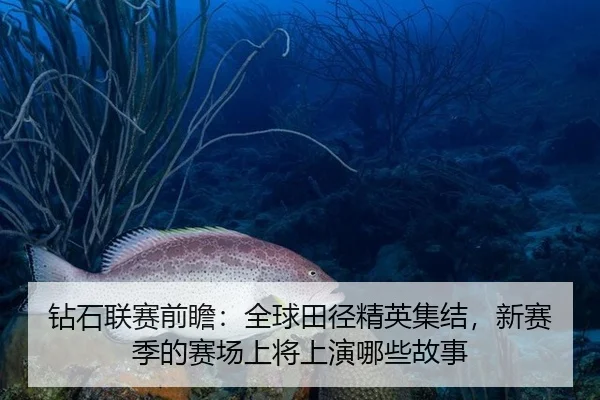 钻石联赛前瞻：全球田径精英集结，新赛季的赛场上将上演哪些故事